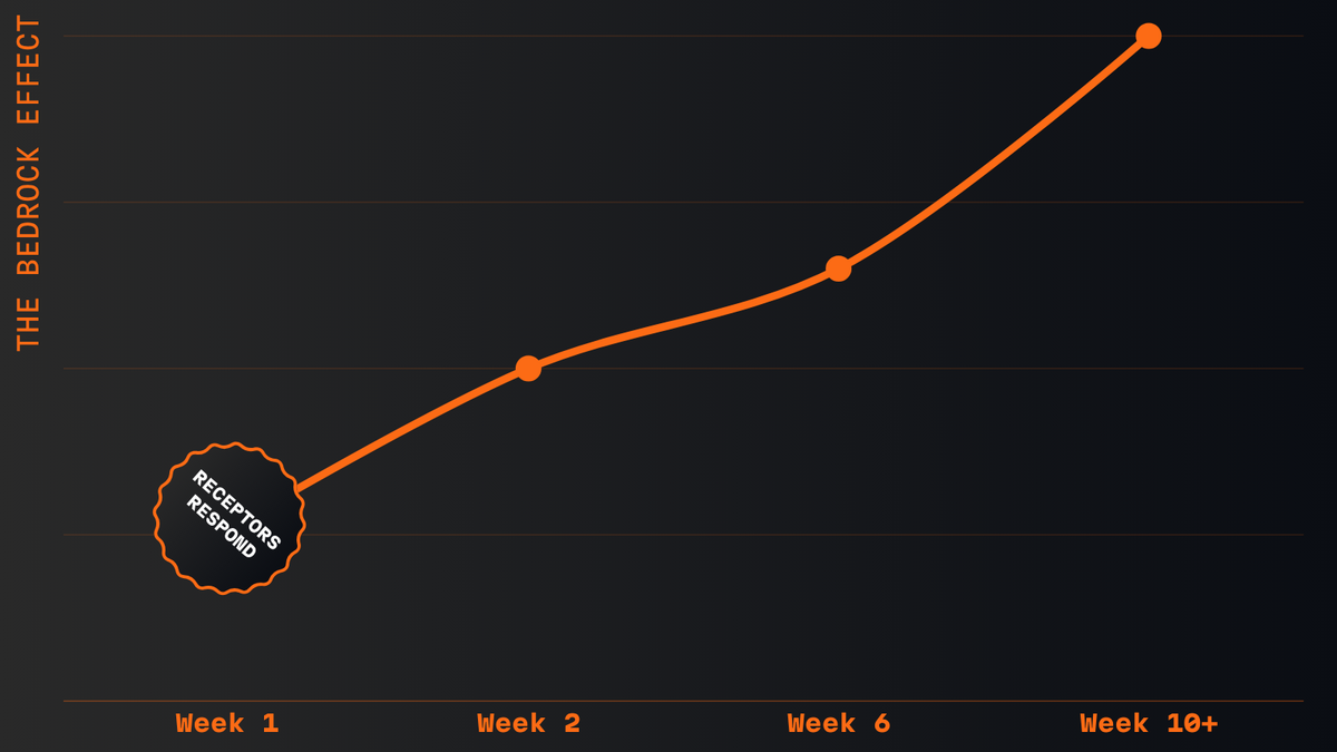 Week 1